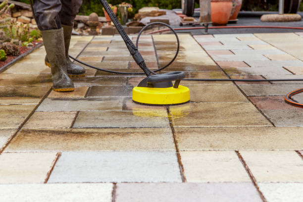 Best Roof Washing  in Sartell, MN